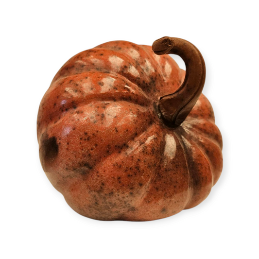 Calabaza de barro bruñido michoacan México